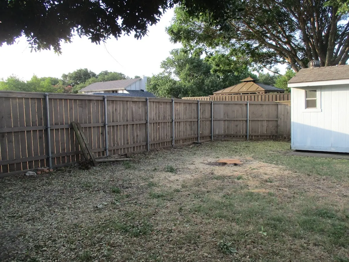 Cleared yard after professional tree removal in Fort Dick